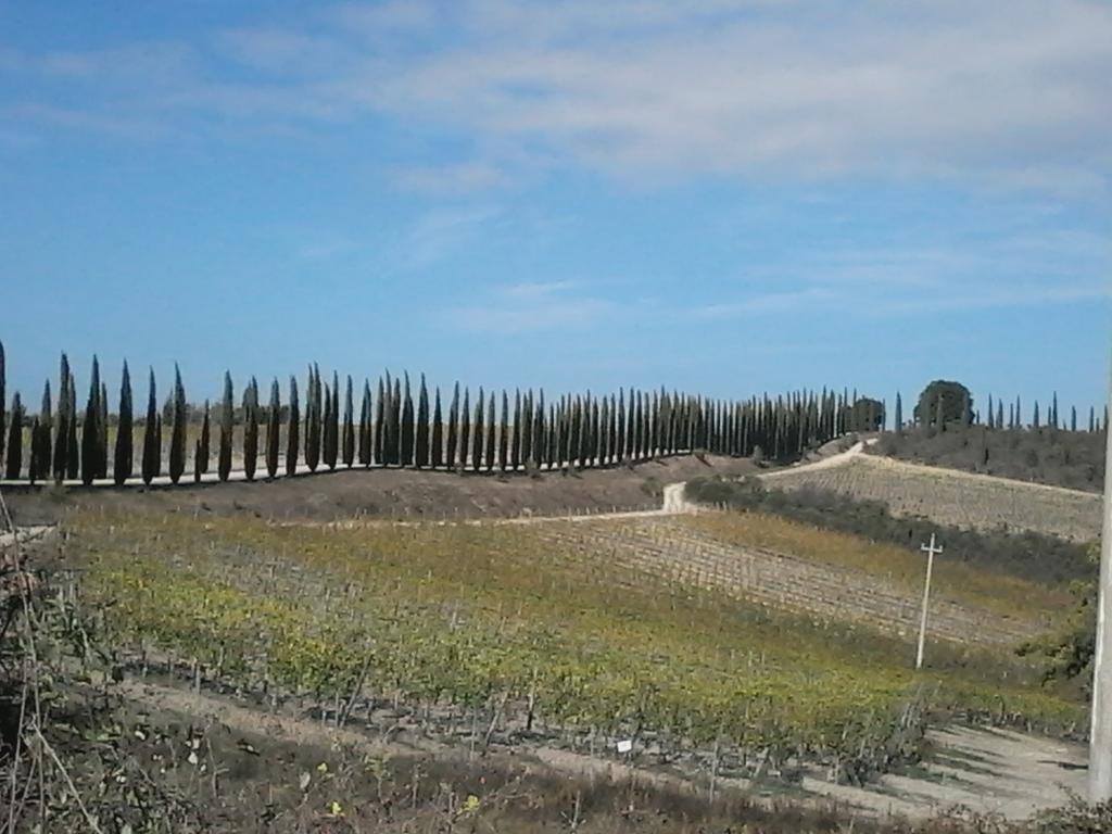 Cisterna Nel Borgo Otel Castiglione dʼOrcia Dış mekan fotoğraf